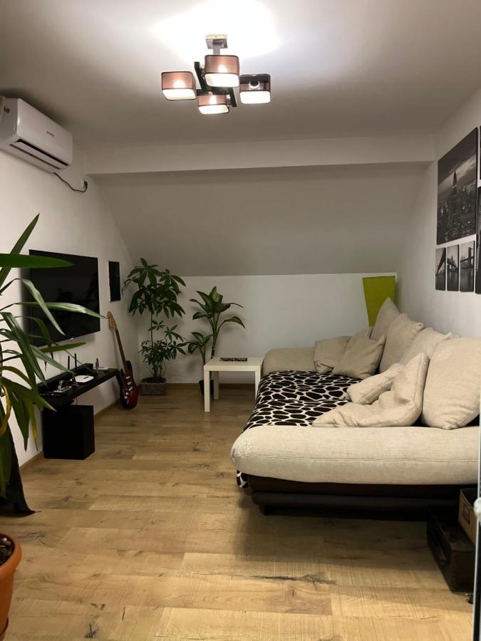 Apartamento O Mansarda Intima :) - The Intimate Attic :) Bragadiru Exterior foto